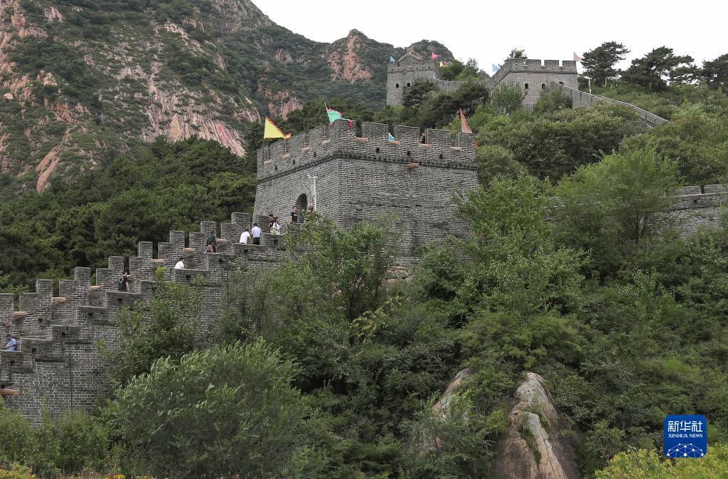永利微信提现